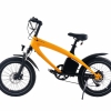 S2 Pedal Electric Cycle (Fat tyre)