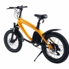 S2 Pedal Electric Cycle (Fat tyre)